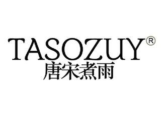 唐宋煮雨TASOZUY